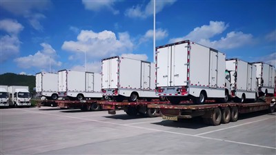 Gwydnwch Paneli Diliau mewn Fflydoedd Logisteg